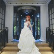照片摄影大赏,看螺旋猫cos阿狸如何展现绝妙的创意。